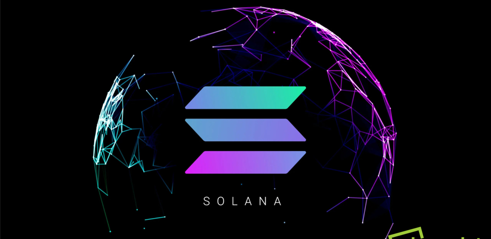 Trump Memecoin Mania and Why Solana is the Big Winner