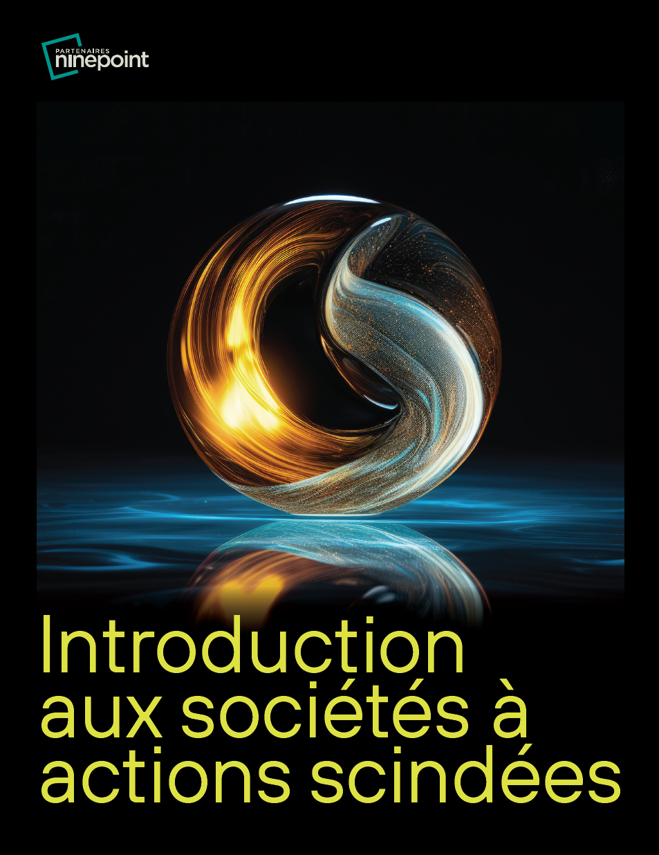 Introduction aux sociétés à actions scindées